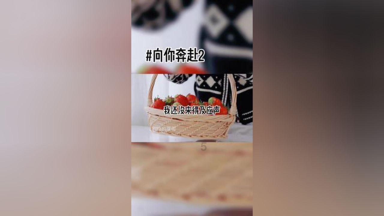 全战：幕府将军2