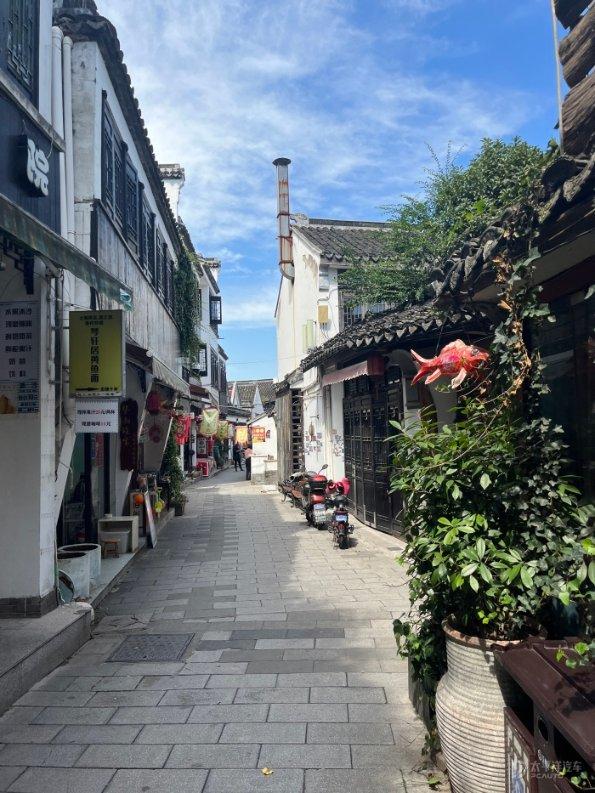 小恐龙来找茬